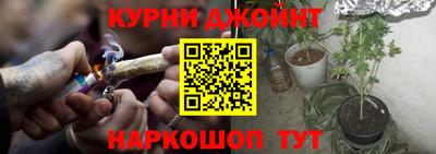 прущие грибы Бийск