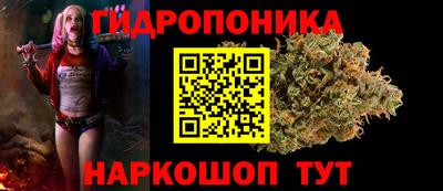 прущие грибы Бийск