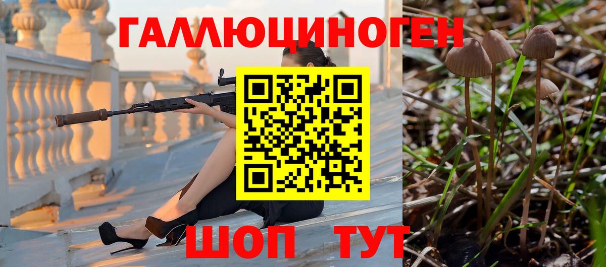 Белорецк  купить наркотик  Вход с VPN  Галлюциногенные грибы мицелий 